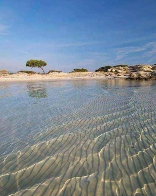 Villa Elea Vourvourou Dış mekan fotoğraf